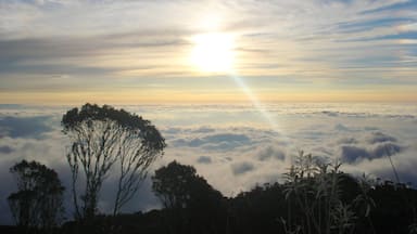 Farallones de Cali National Park which includes landscape views and a sunset