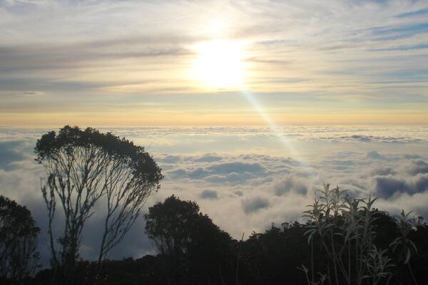 Farallones de Cali National Park which includes landscape views and a sunset