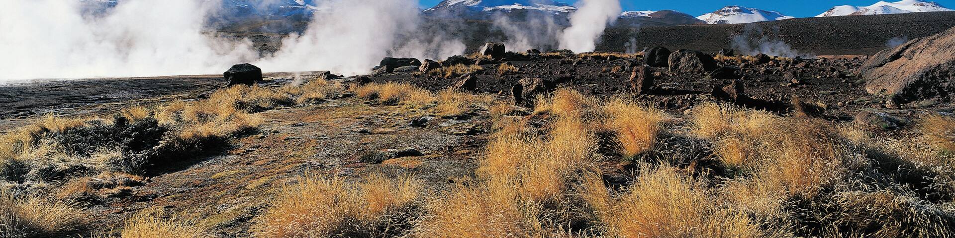 El Tatio Geysers, Atacama Desert, Chile