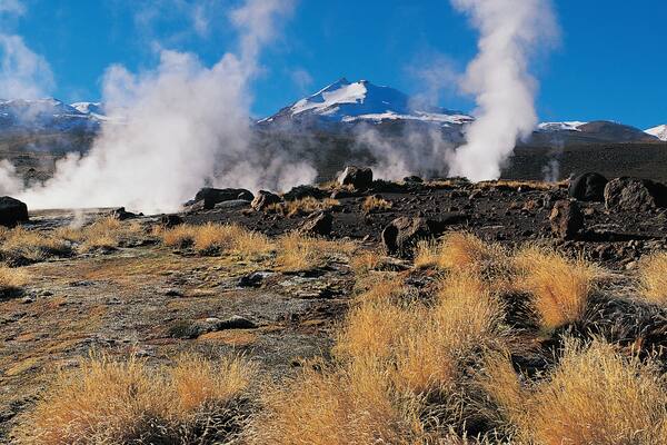 El Tatio Geysers, Atacama Desert, Chile