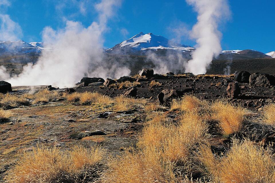 Un área geotérmica con fumarolas, hierba seca y montañas nevadas al fondo.