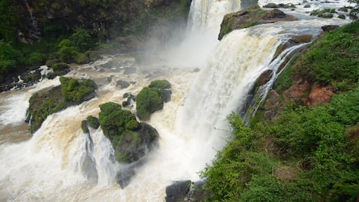 SALTOS DEL MONDAY