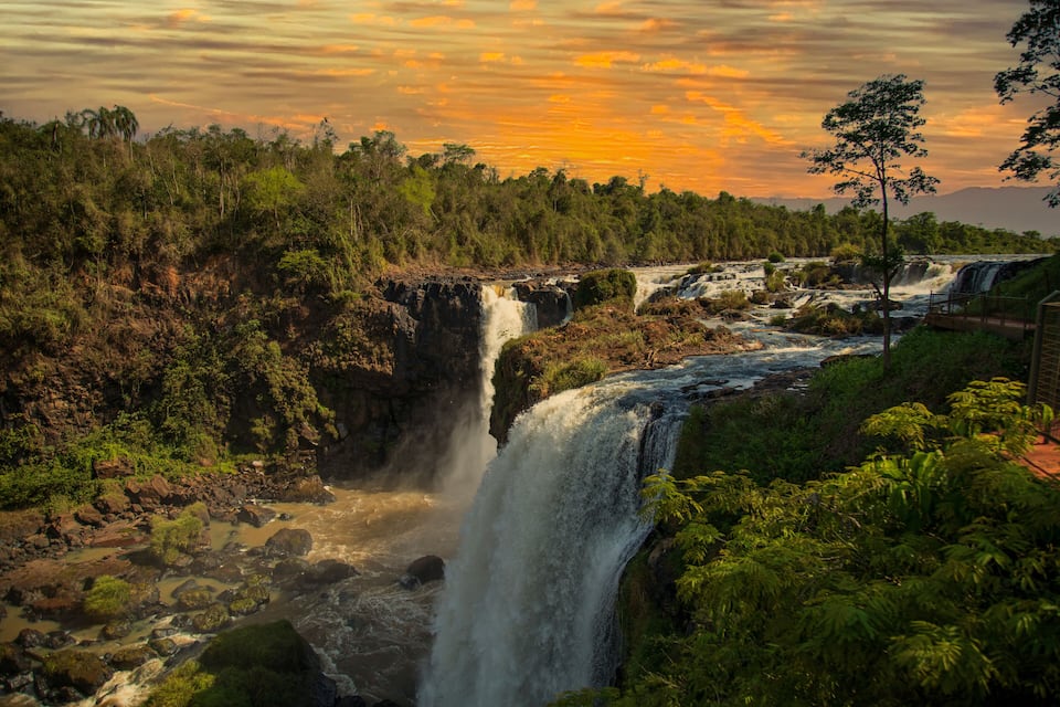 Una cascada que raja sobre roques envoltes de vegetació exuberant.