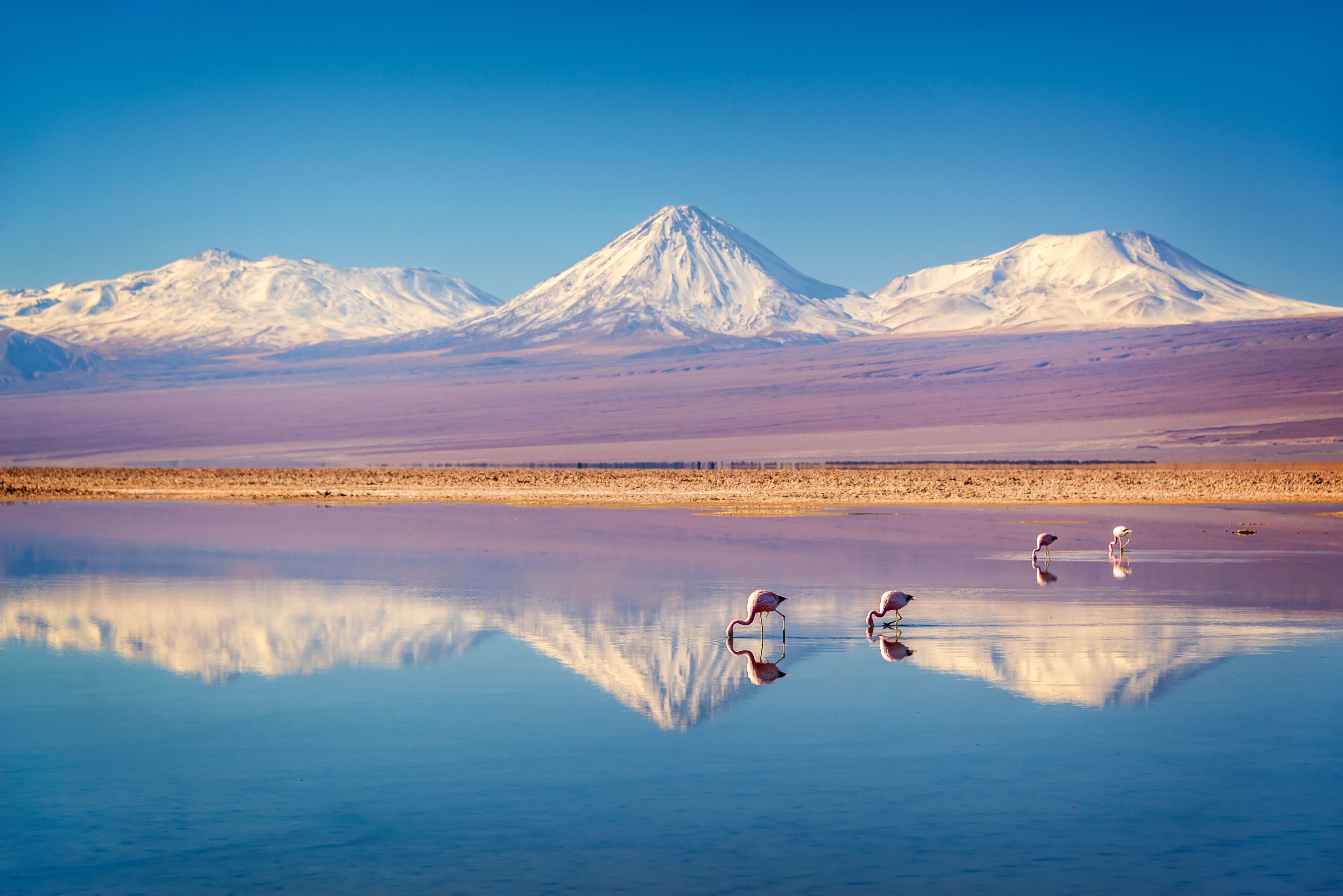 Laguna Chaxa