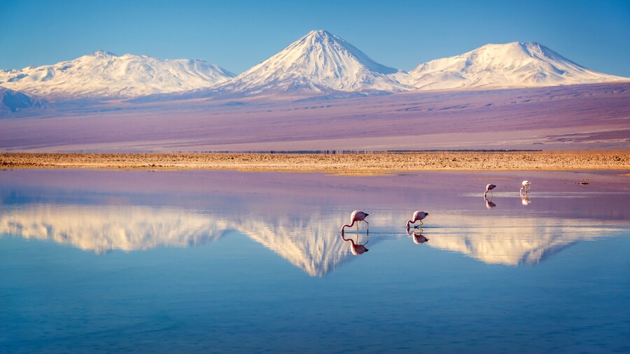 Laguna Chaxa