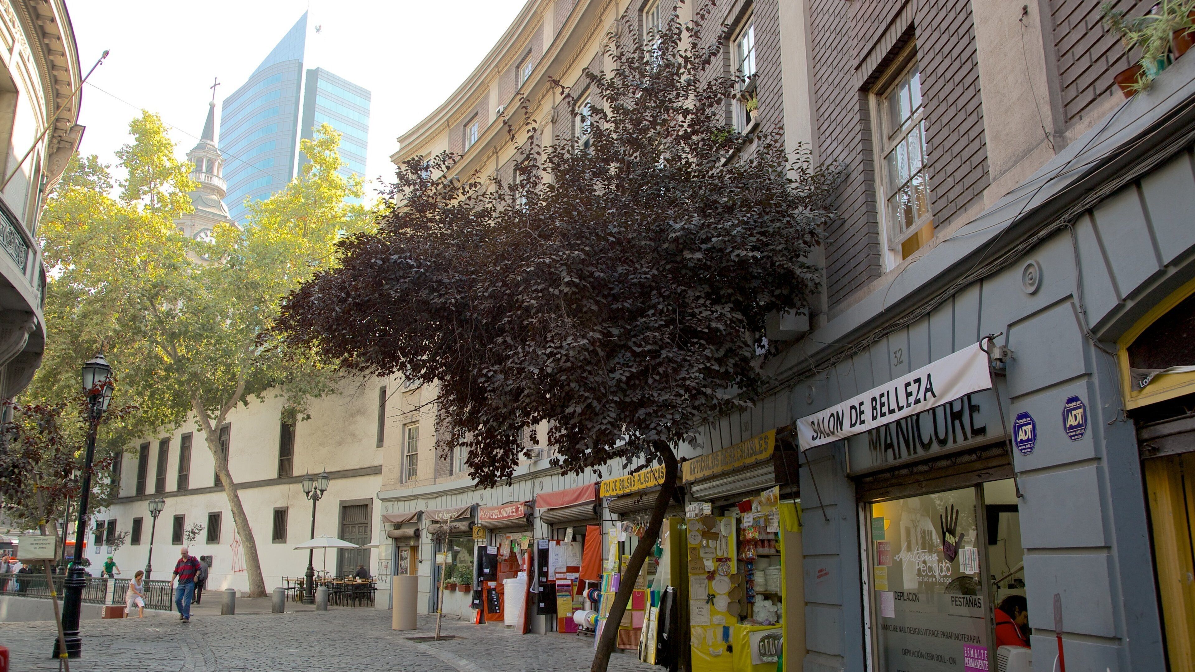 Santiago featuring street scenes