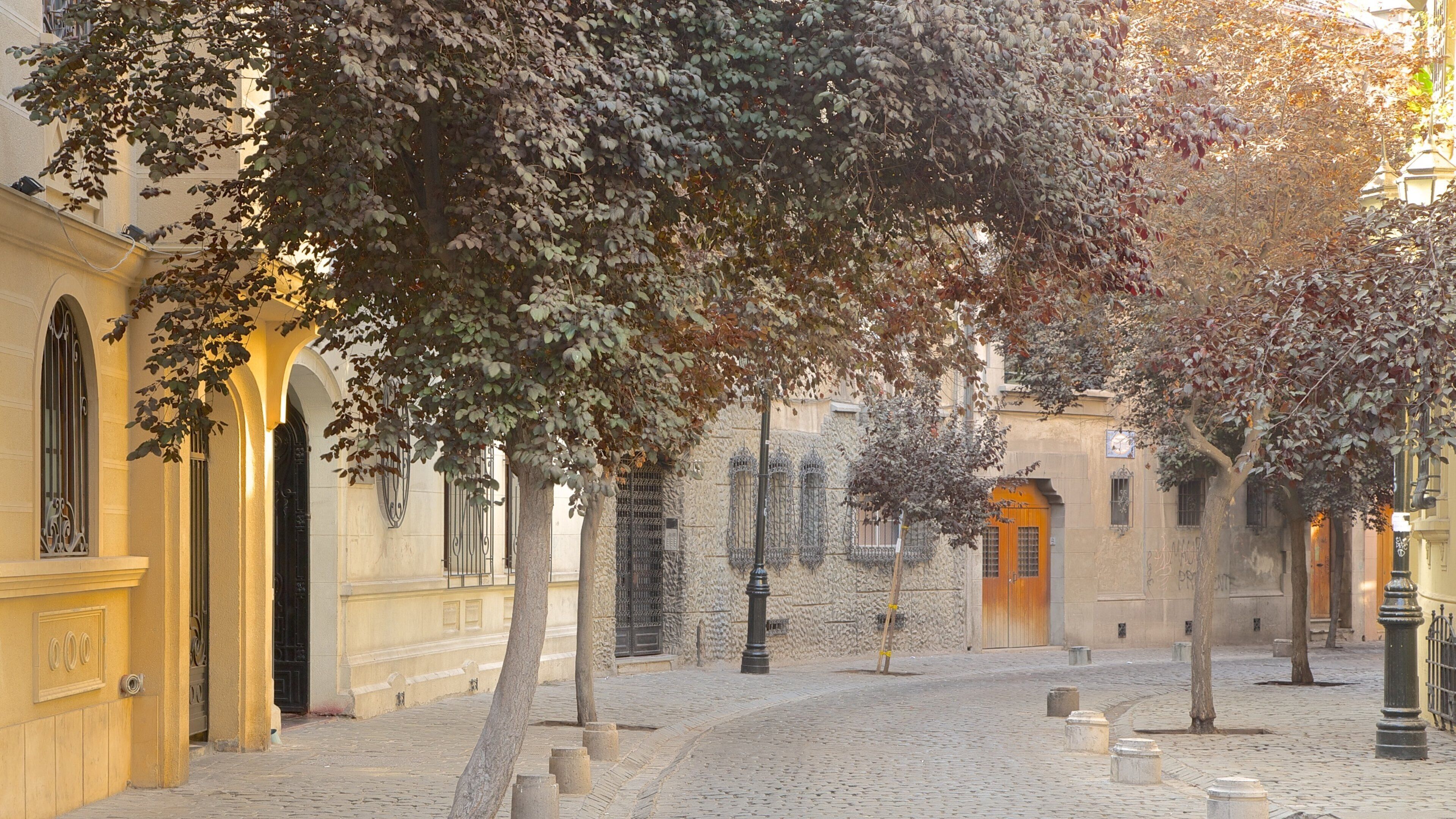 Región Metropolitana de Santiago bevat straten
