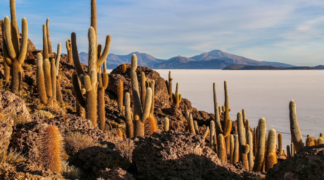 Isla Incahuasi