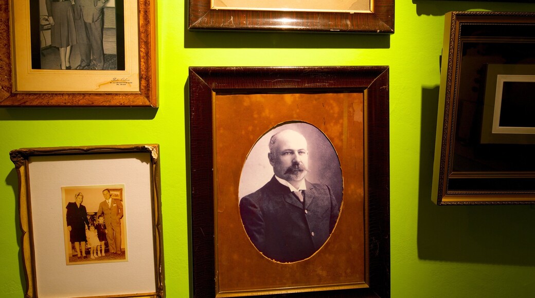 Evita Museum que incluye elementos patrimoniales y vistas de interior