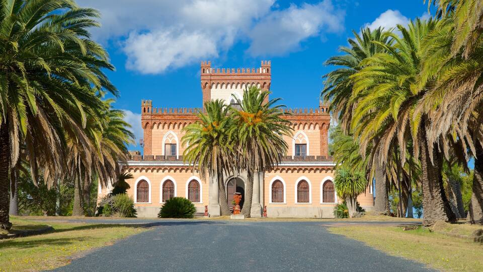 A historic building with a central tower, flanked by palm trees.