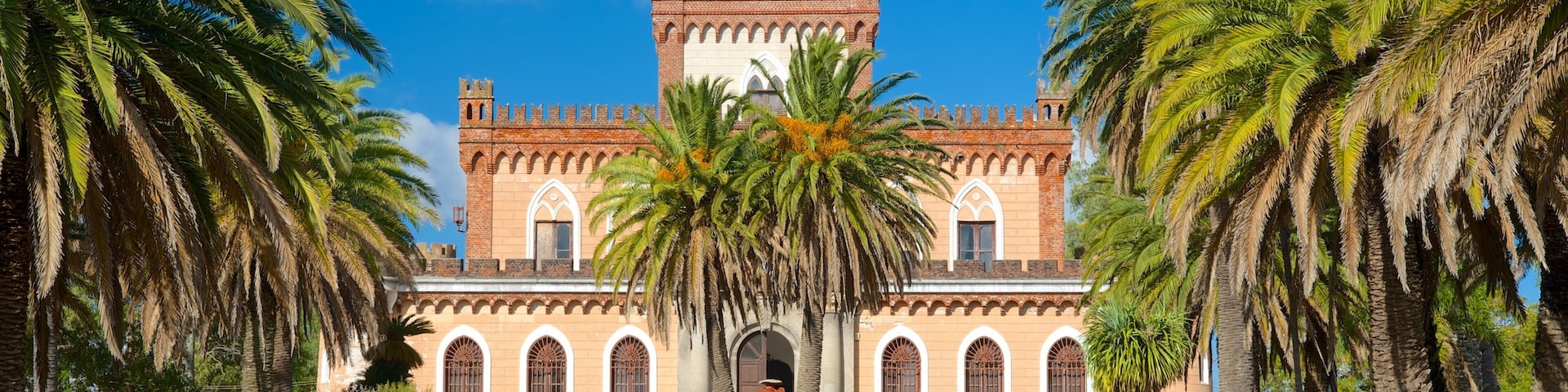 Piriapolis showing chateau or palace