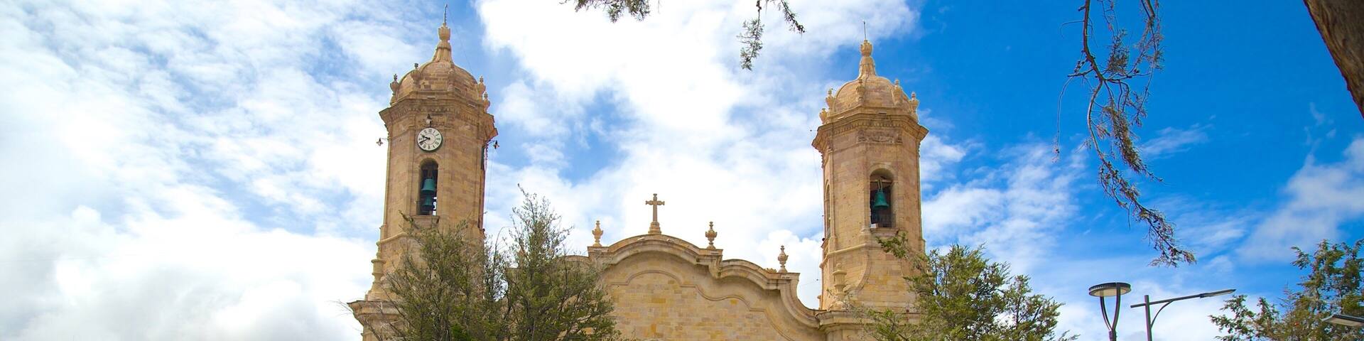 Potosi which includes a city and a garden