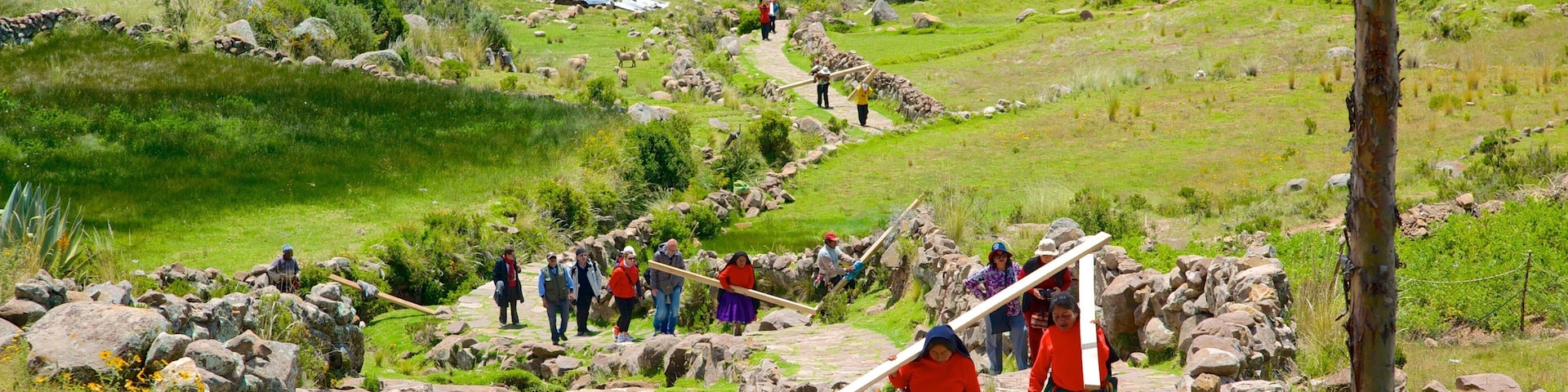Lake Titicaca caracterizando cenas tranquilas assim como um pequeno grupo de pessoas
