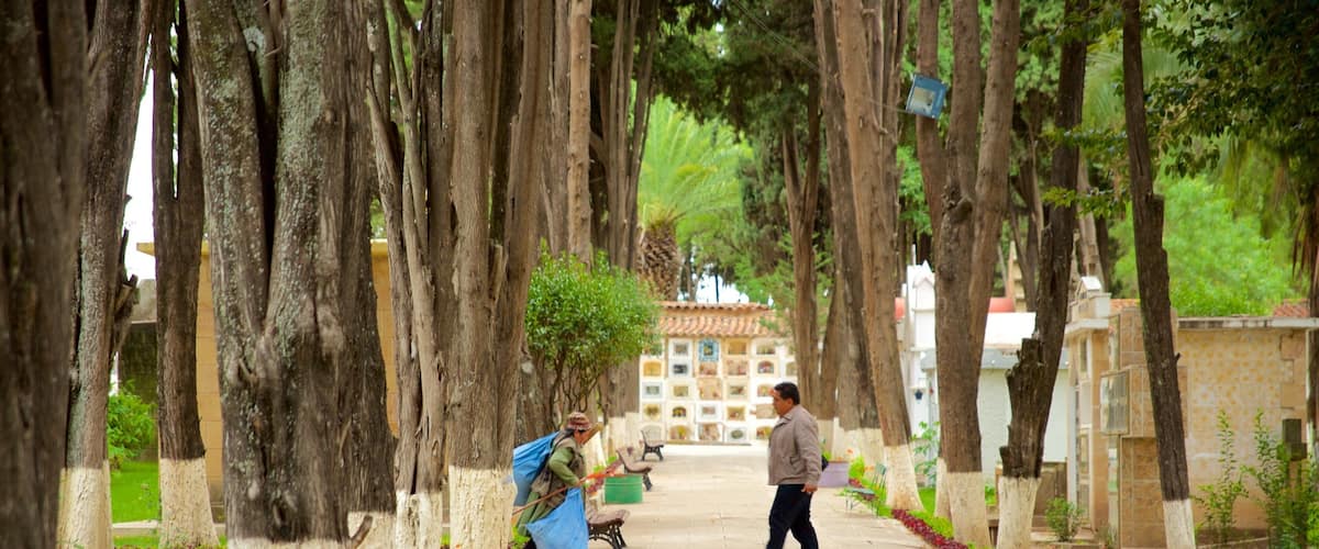 A pathway lined with trees, benches, and a building in the background.