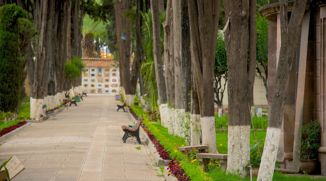 Yungas som inkluderer park