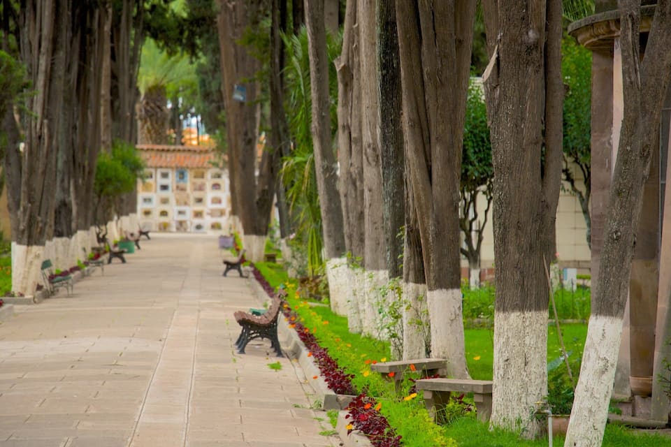 A tree-lined pathway with benches and a building in the background.
