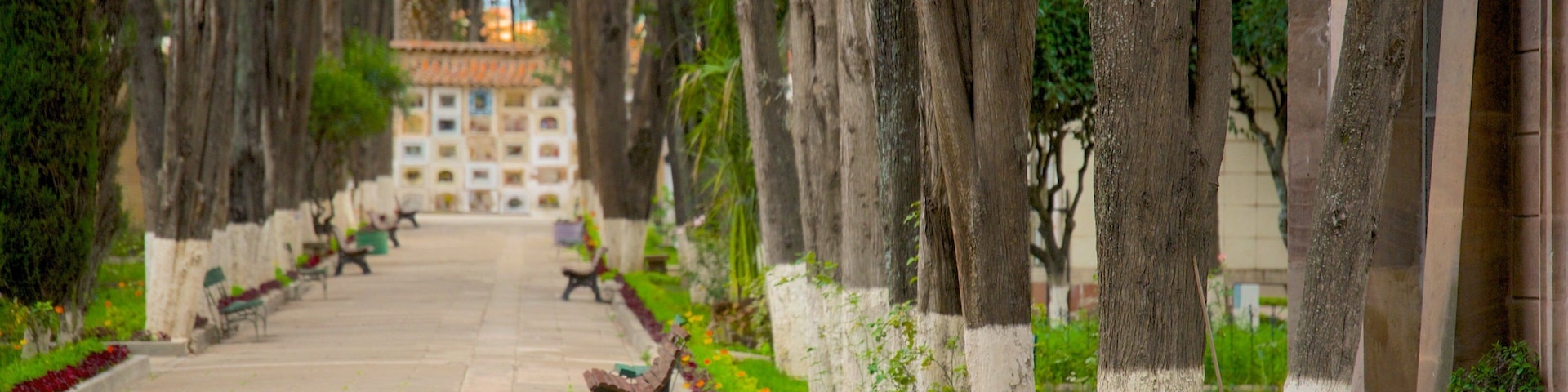 Subandeano mostrando um parque