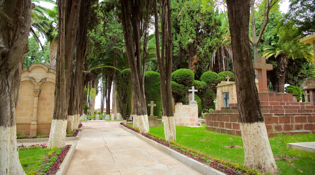 Sucre som viser park