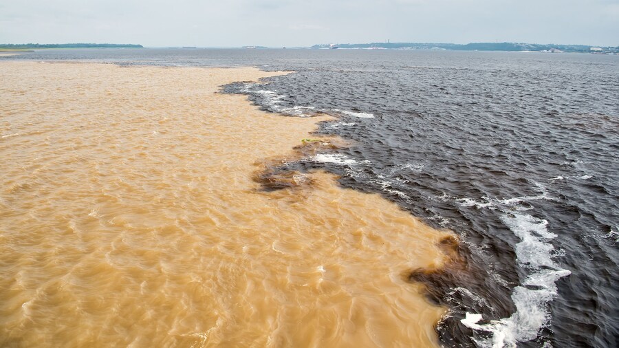 water meeting in brazil -amazon river with rio del negro