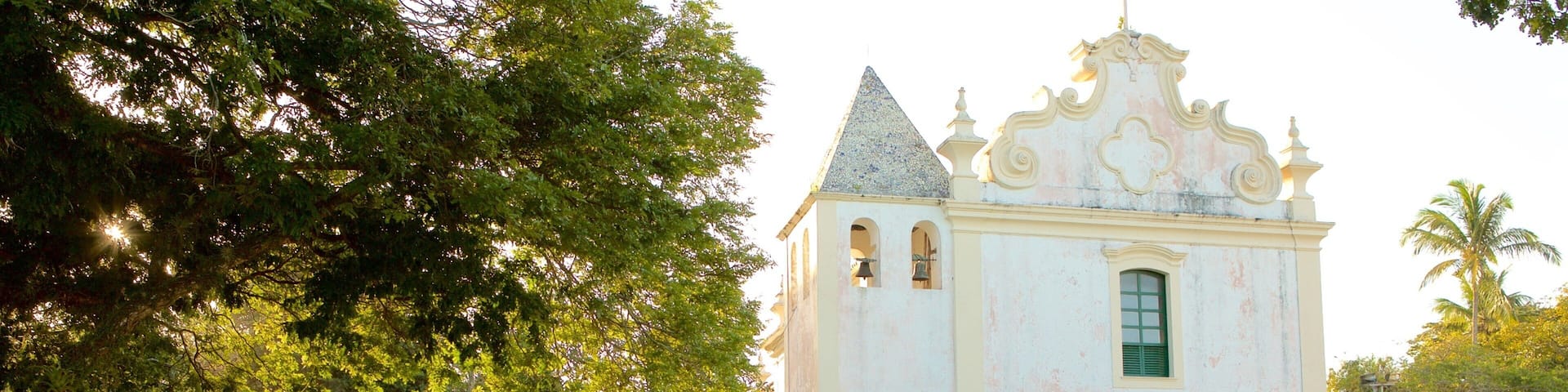 Nordeste que incluye jardín y mercados