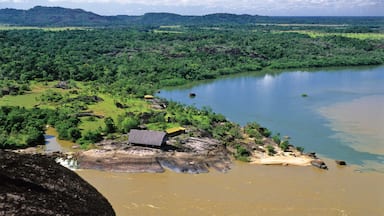 El Tuparro National Natural Park which includes general coastal views, landscape views and tranquil scenes