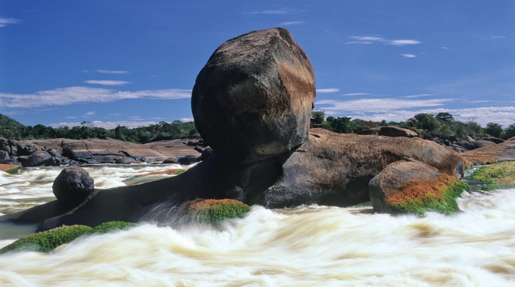El Tuparro National Natural Park which includes a river or creek, rapids and rocky coastline