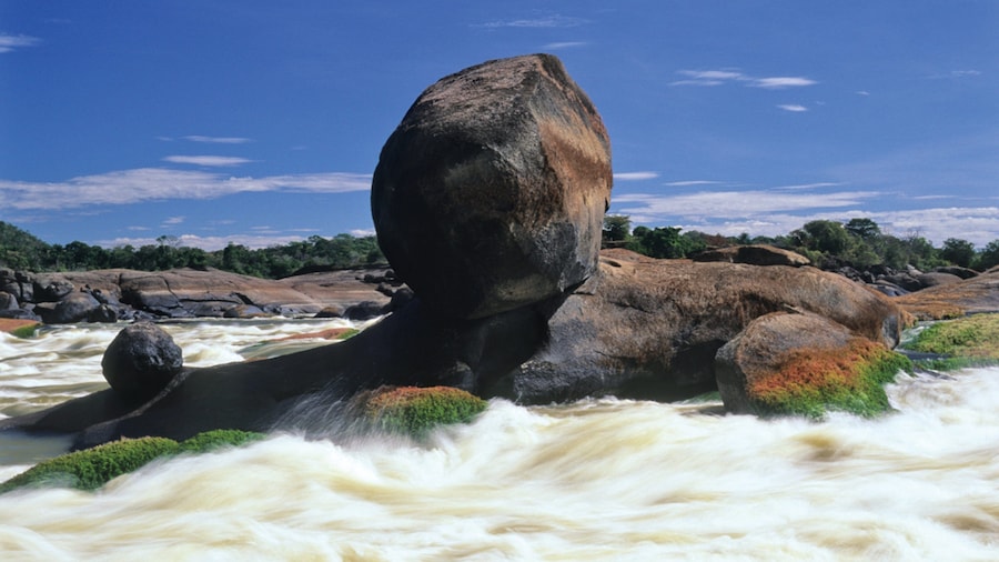 El Tuparro National Natural Park which includes a river or creek, rapids and rocky coastline