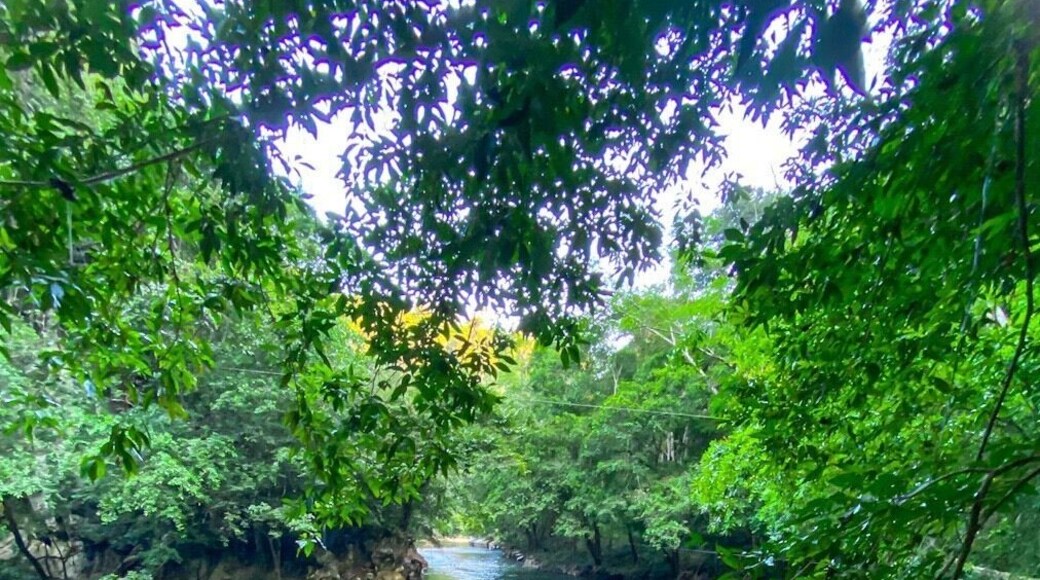 Zoomed in a little on the river for ya. And clear it is! Really like the framing on this picture. All the river activities were a ton of fun 🐟
#rioclaro #nature #reserve #antioquia #medellin #bogota #colombia #adventure #river #views #trees #jungle #travel #southamerica #wanderlust #exploring