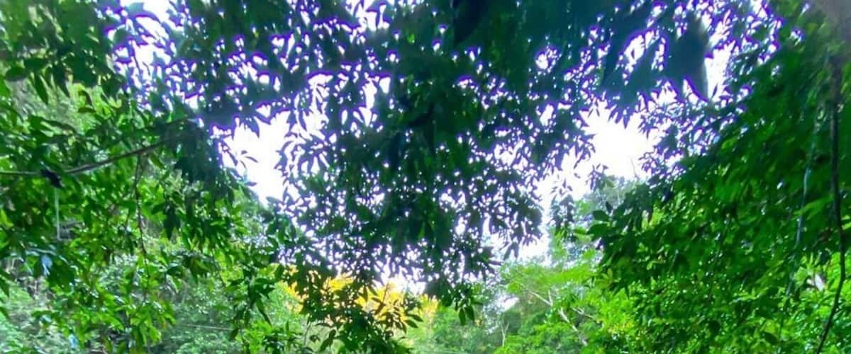 Zoomed in a little on the river for ya. And clear it is! Really like the framing on this picture. All the river activities were a ton of fun 🐟
#rioclaro #nature #reserve #antioquia #medellin #bogota #colombia #adventure #river #views #trees #jungle #travel #southamerica #wanderlust #exploring