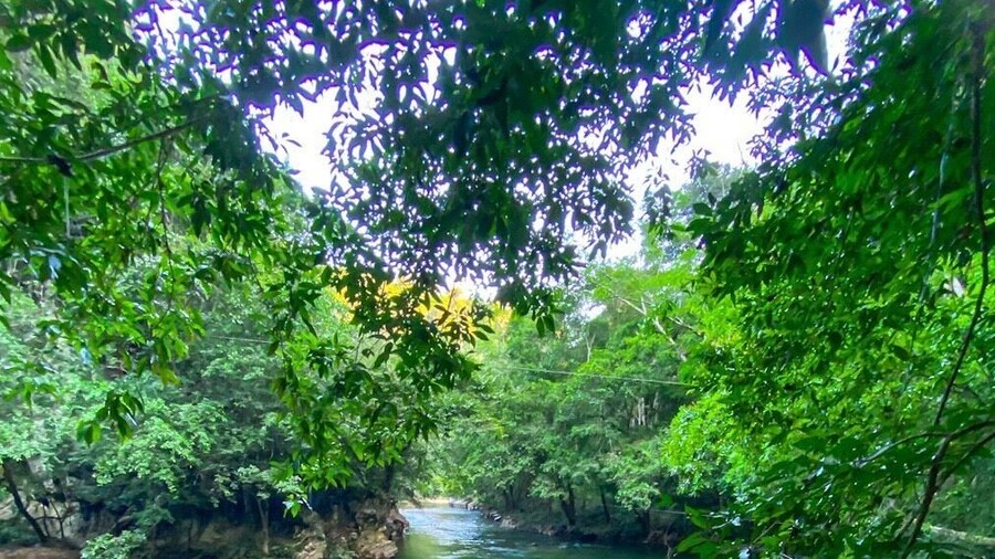Zoomed in a little on the river for ya. And clear it is! Really like the framing on this picture. All the river activities were a ton of fun đ
#rioclaro #nature #reserve #antioquia #medellin #bogota #colombia #adventure #river #views #trees #jungle #travel #southamerica #wanderlust #exploring