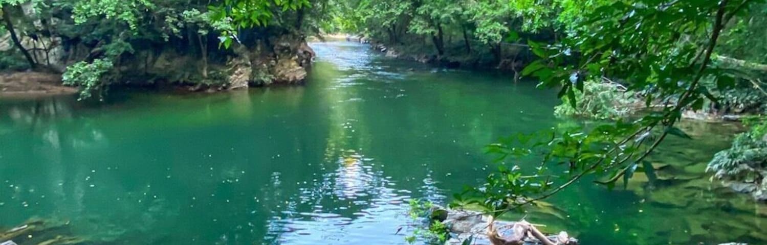 Zoomed in a little on the river for ya. And clear it is! Really like the framing on this picture. All the river activities were a ton of fun 🐟
#rioclaro #nature #reserve #antioquia #medellin #bogota #colombia #adventure #river #views #trees #jungle #travel #southamerica #wanderlust #exploring