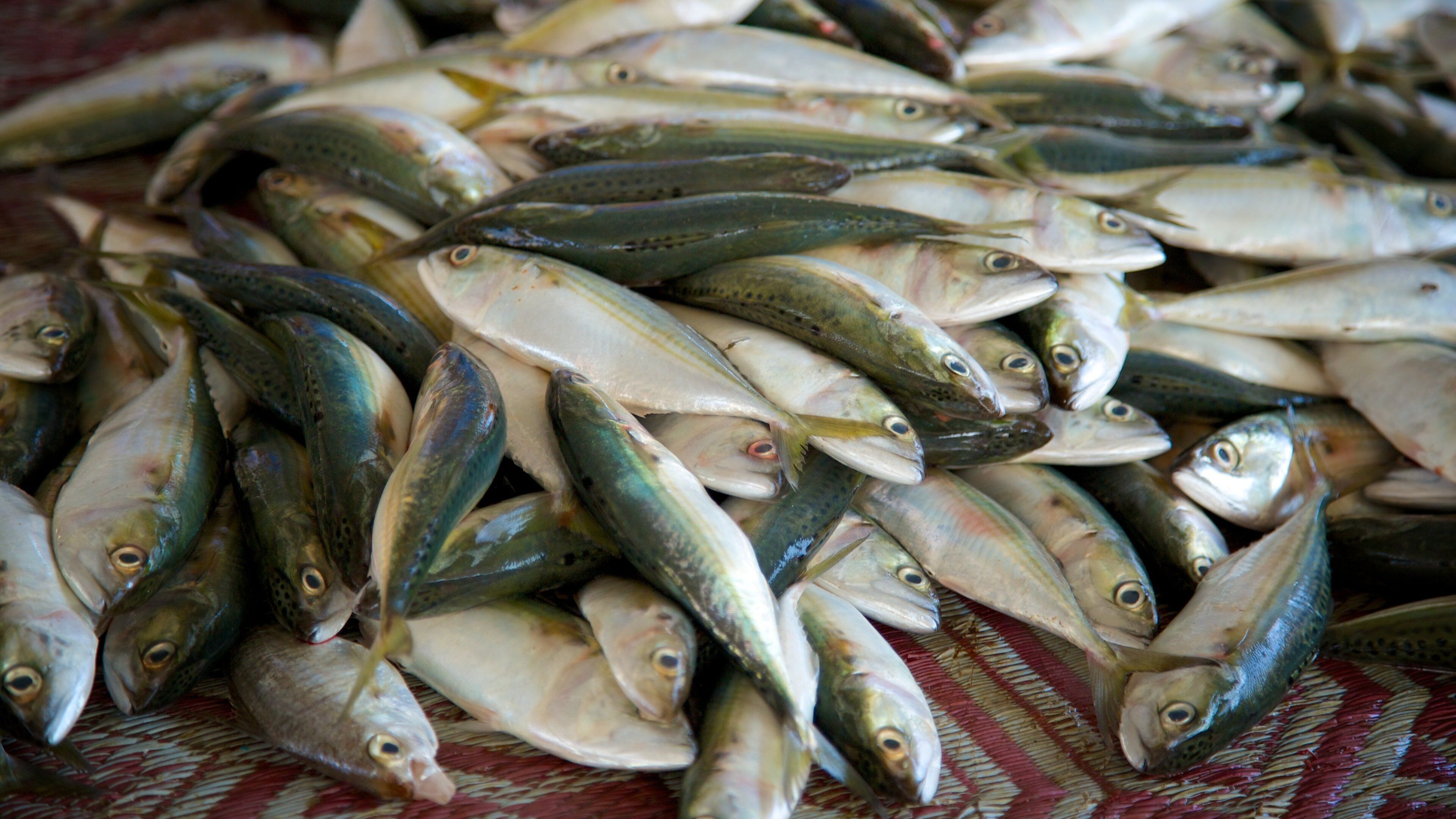 Mutrah Fish Market showing markets and food