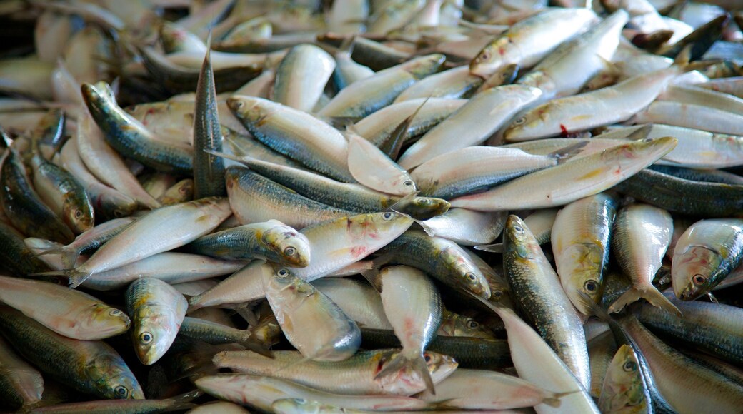 Muscat which includes food and markets