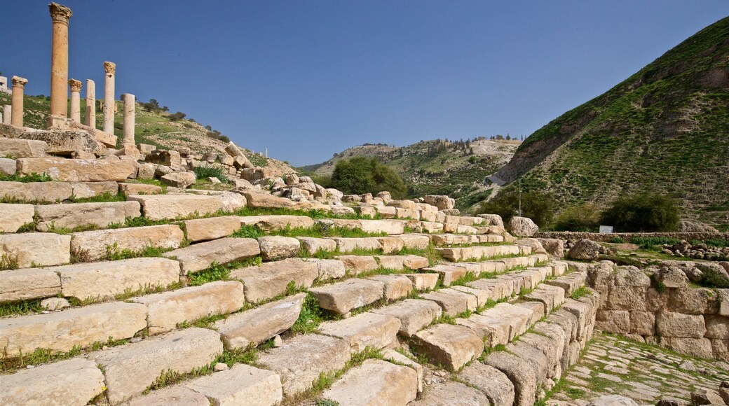 Museo Pella mostrando elementos patrimoniales
