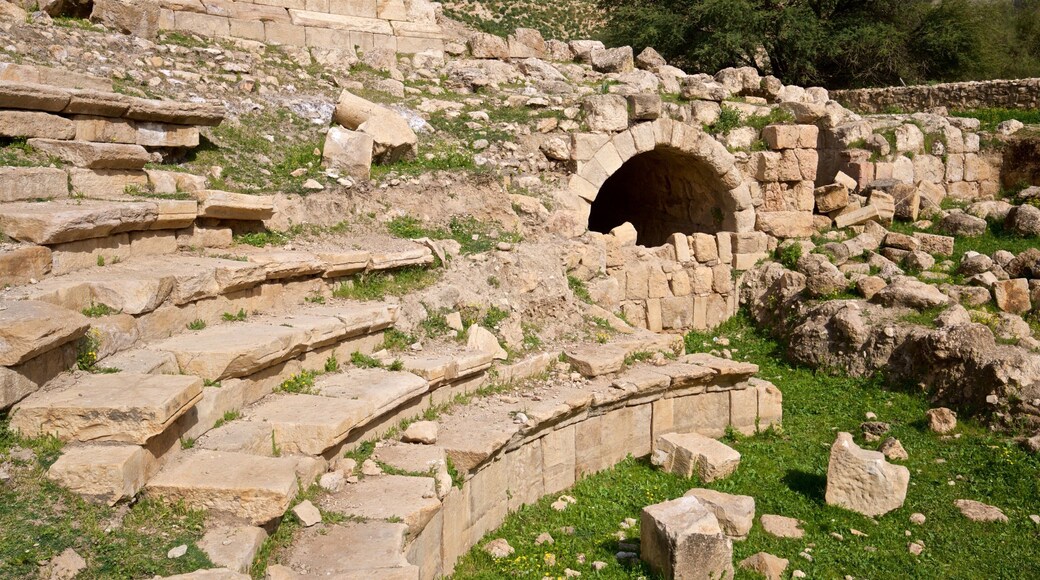 Archaeological Museum of Pella caratteristiche di rovine e oggetti d\'epoca