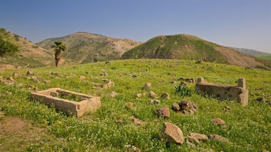 Pella Museum which includes building ruins, landscape views and tranquil scenes