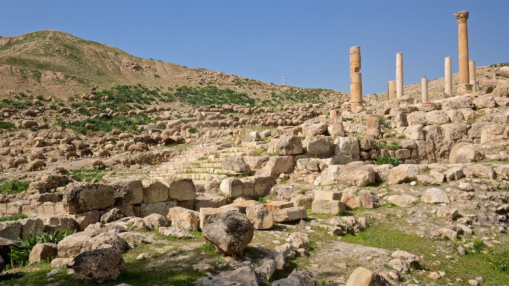 Pella Museum which includes heritage architecture and a ruin