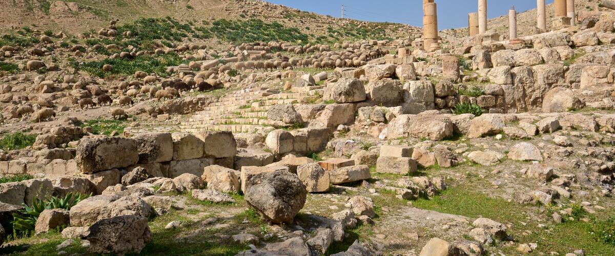 Ancient ruins with columns and scattered sheep on a hillside.