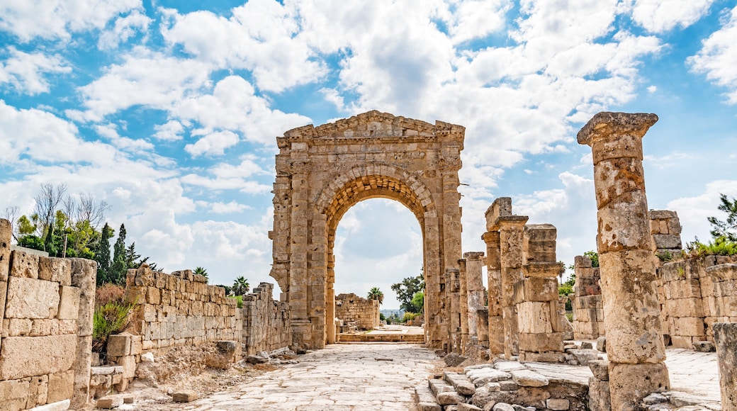 Al Bass archaeological site in Tyre, Lebanon. It is located about 80 km south of Beirut. Tyre has led to its designation as a UNESCO World Heritage Site in 1984.