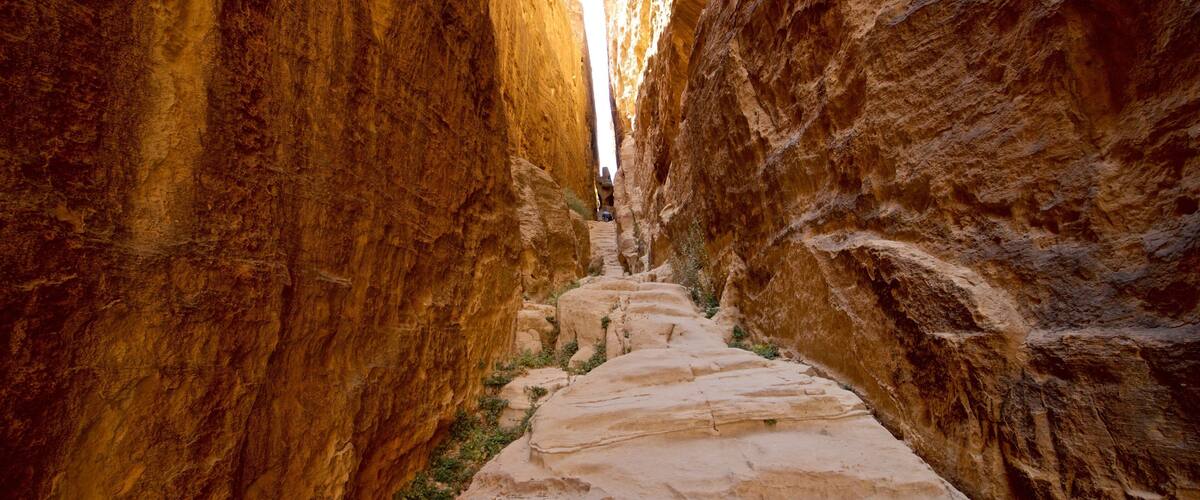 Little Petra which includes a gorge or canyon