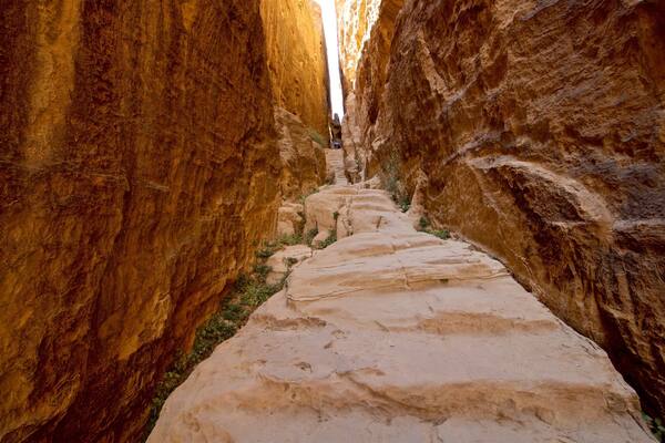 Petite Petra mettant en vedette gorge ou canyon