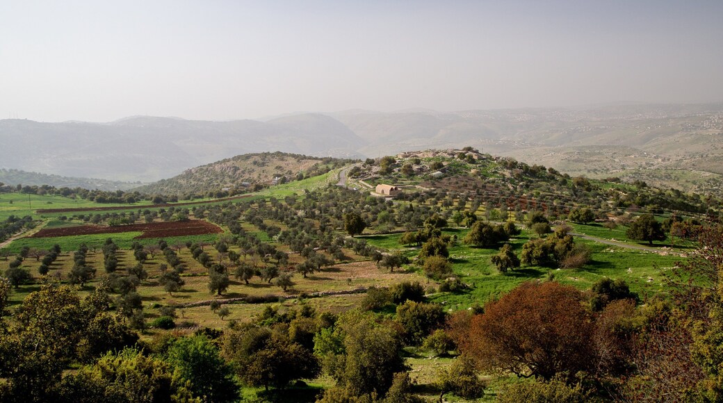 Tell Mar Elias das einen Landschaften und ruhige Szenerie