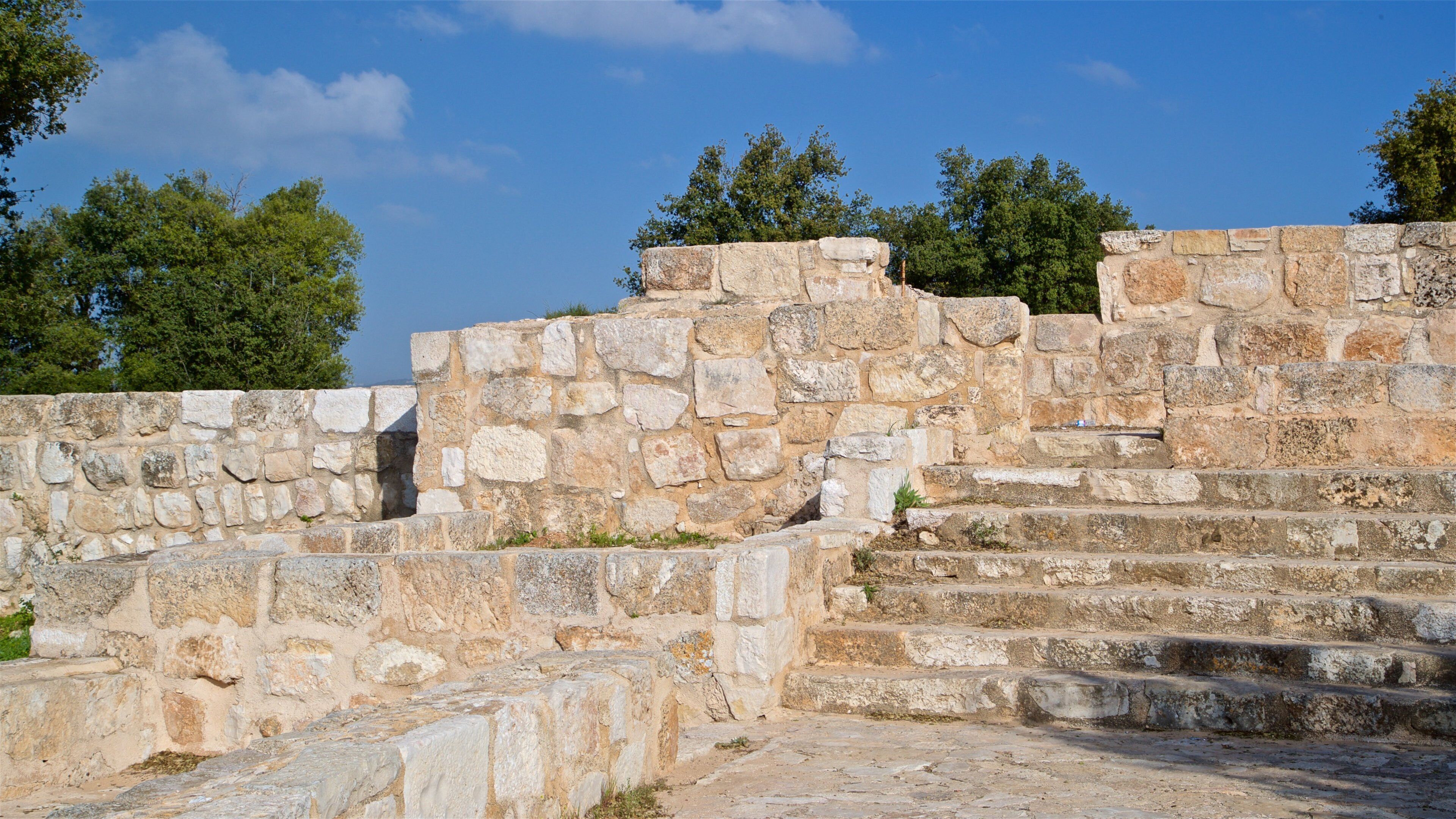 Tuinas de Tall Mar Elias