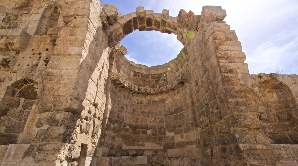 ニンファエウム 表示 遺跡・遺産 と 崩れた建物