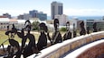 Eastern Cape which includes modern architecture, a city and outdoor art