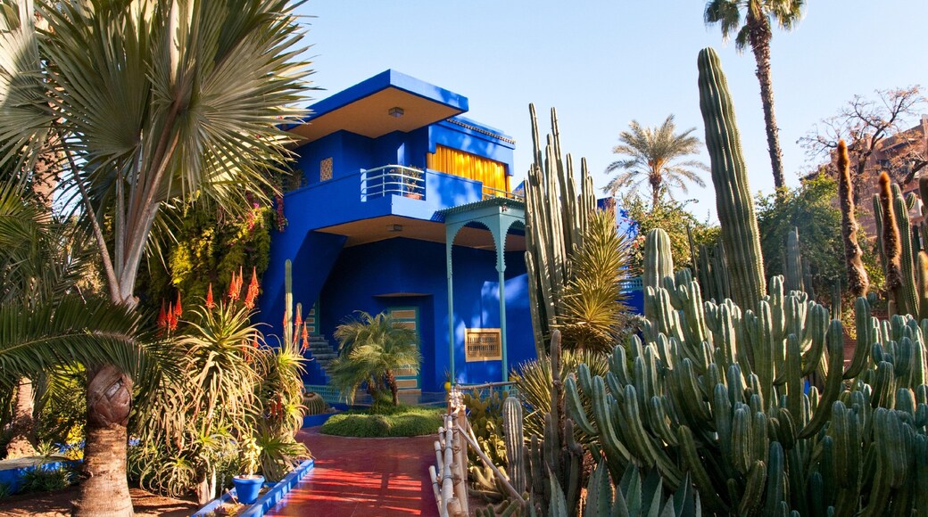 Majorelle Gardens showing a garden