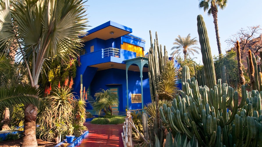 Majorelle Gardens showing a garden