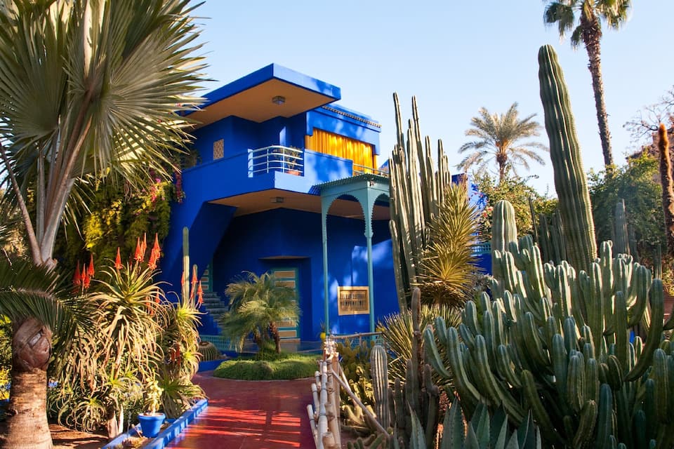 A blue building surrounded by cacti and palm trees.