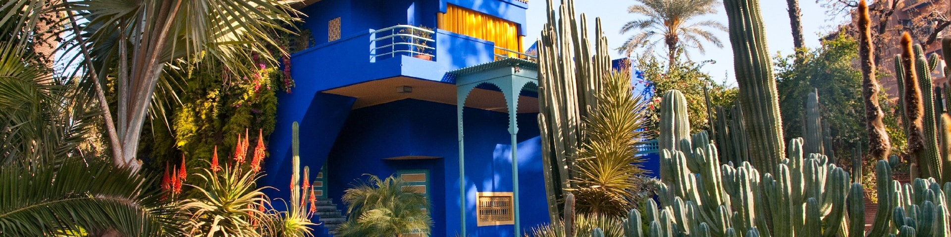 Majorelle Gardens showing a garden