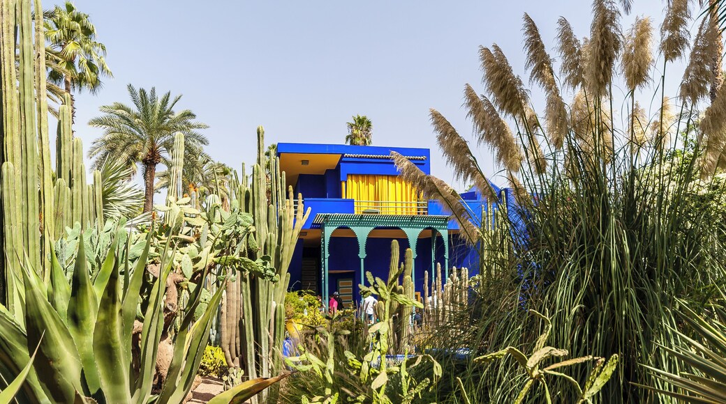 Vườn Majorelle